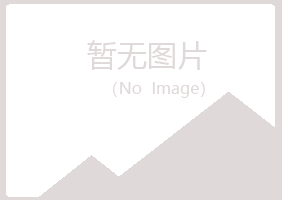 陆丰山柏化学有限公司